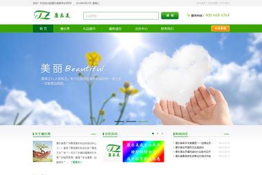 广州康乐美健康信息咨询服务中心网站建设项目方案