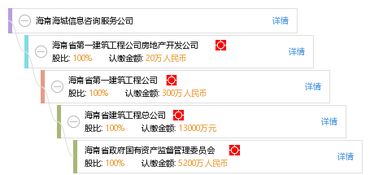 海南海城信息咨询服务公司 专业、精准、高效的信息咨询解决方案